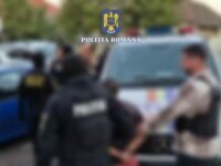 hoti ausria prinsi arad