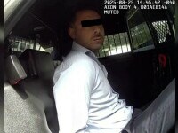 roman, jaguri, sua, florida