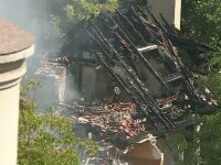 incendiu marul de aur