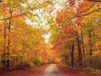 Cum va fi vremea în septembrie. Meteorologii anunță temperaturi peste cele obișnuite, în prima parte a lunii