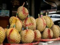 Durian - ce este și cum se mănâncă. Ce gust are acest fruct și de ce miroase urât