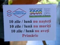 Mai multe primării din țară au intrat in grevă și au închis ușile pentru cetățeni, din cauza măsurilor Guvernului Bolojan