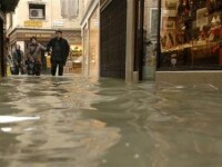 inundatii Venetia 15