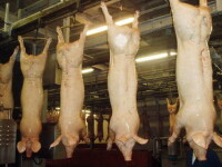 Romania nu a importat carne infestata cu dioxina din Irlanda!
