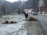 Imagini care te lasa fara cuvinte