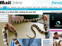 Mort de foame? Si-a devorat propria coada!