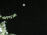 Semn divin sau iluzie optica? Chipul lui Isus pe un fulg de zapada