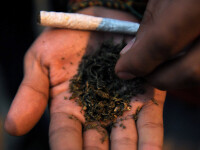 Gravida in luna a 7-a a fumat tigari din plante etnobotanice!Vezi urmarea!