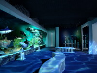 Rupt din filme SF! Uite cum va arata Muzeul Antipa!