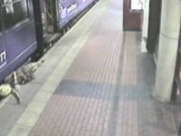 O femeie beata coboara dintr-un tren, se impiedica si cade sub el. VIDEO