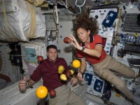 astronauti, fructe, statia spatiala internationala