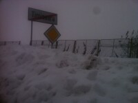 Problemele continua in Timis si Caras-Severin. Trei copaci au cazut peste o cale ferata, la Bocsa