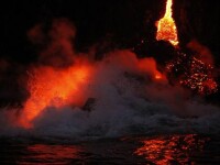 BREAKING NEWS la o televiziune din Japonia: \