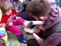 Romanul care a renuntat la visul american pentru a-i incalta pe copiii saraci din tara sa natala