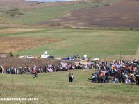 Fostul primar din Pungesti: Am fost scos de jandarmi din masina, tarat pe asfalt, apoi am lesinat