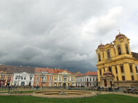 timisoara