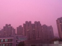 Smog roz