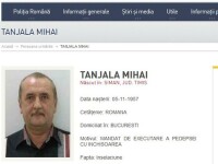 Mihai Tanjala