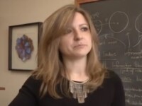 Matematiciana din Craiova care preda la Princeton si studiaza termitele din Africa. Descoperirile ei pot schimba politica