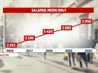 carton psd salariu mediu brut