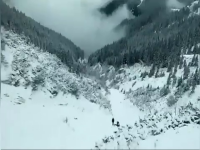 zapada avalansa