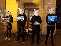 ”Nu tăiați porcii de Crăciun”. Manifestație inedită în Sibiu a unor tineri vegetarieni