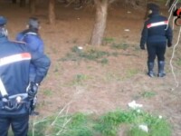 Cadavrul unui român, găsit decapitat și fără brațe într-o pădure din Italia