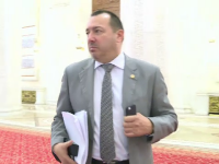 Deputatul PSD, Cătălin Rădulescu, proiect de lege, imunitate