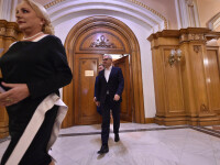 Liviu Dragnea, Viorica Dăncilă