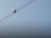 Momente terifiante. Motivul pentru care un bărbat s-a urcat pe cablurile de înaltă tensiune