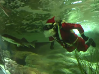 Moș Crăciun și-a făcut apariția într-un muzeu marin din Lituania. Ce le-a spus vizitatorilor