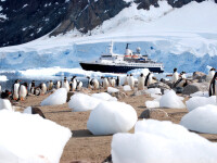 nava de explorare polara