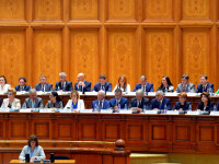 Cabinetul Dancila in Parlament