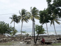 tsunami Indonezia