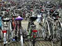 Biciclete Olanda