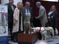 Statuie din bronz în memoria câinelui lui George H. Bush. Unde a fost amplasată