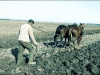 agricultura