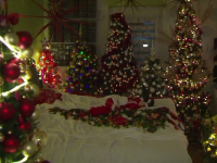 Doi soți din Germania și-au decorat casa cu 350 de brazi de Crăciun. Au intrat în Cartea Recordurilor