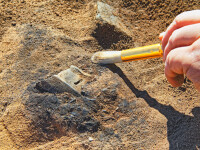 Descoperirea uluitoare făcută de arheologi. Ce au găsit pe străzile unui oraș din China
