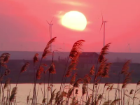 Sărătorile de iarnă, în Delta Dunării. Cât costă și ce pot face turiștii în noaptea dintre ani