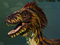 Descoperire neașteptată a cercetătorilor: Dinozaurii cu pene erau infestaţi cu păduchi