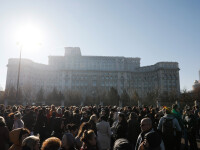 protest grefieri București