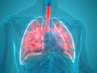 Un medic pneumolog explică problemele respiratorii ale unui pacient vindecat de COVID-19