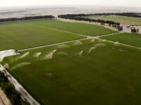 Gazon cultivat în Qatar, în deșert, pentru Campionatul Mondial de Fotbal din 2022. Se cultivă iarba pentru opt stadioane