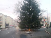 Primăria Panciu a instalat un brad de Crăciun atât de mare, încât mașinile nu mai au pe unde să treacă