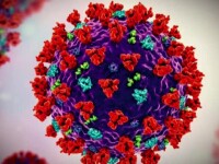 Coronavirus România, bilanț 8 februarie 2022. 36.269 cazuri noi și 193 de decese