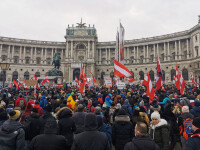 Protest Viena - 6