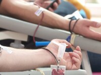 Campania „Donează sânge, fii erou!” este de mare interes în Cluj-Napoca. Circa 100 de donatori vin zilnic