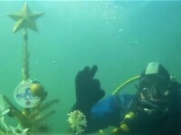 Bradul subacvatic, principala atracție pentru pasionaţii de scufundări din Ungaria
