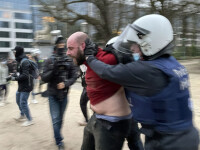 protest, belgia